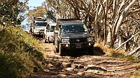 King Billy Track
